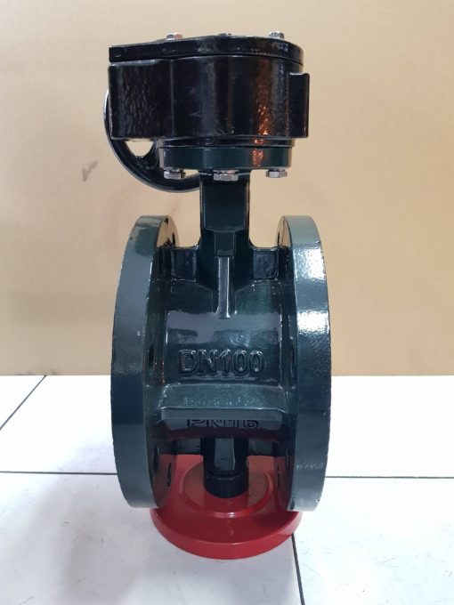 Rubber seat Butterfly Valve